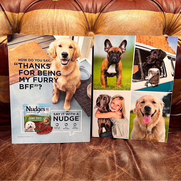 Dog puppy book and magazines - Picture 4 of 4